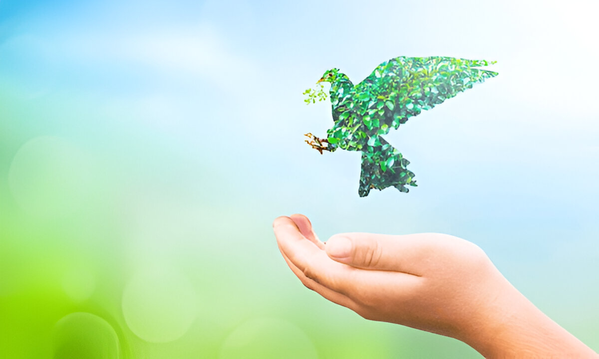Caring for the Earth