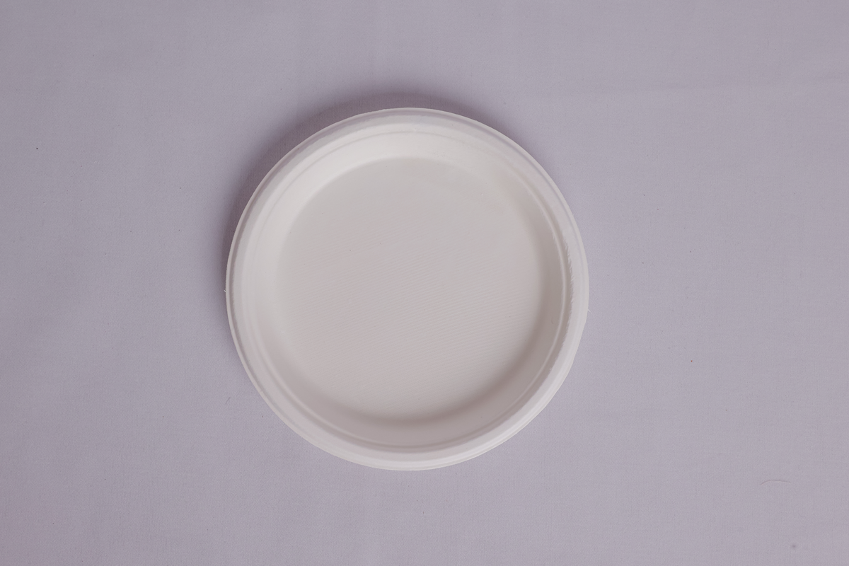 10 Inch